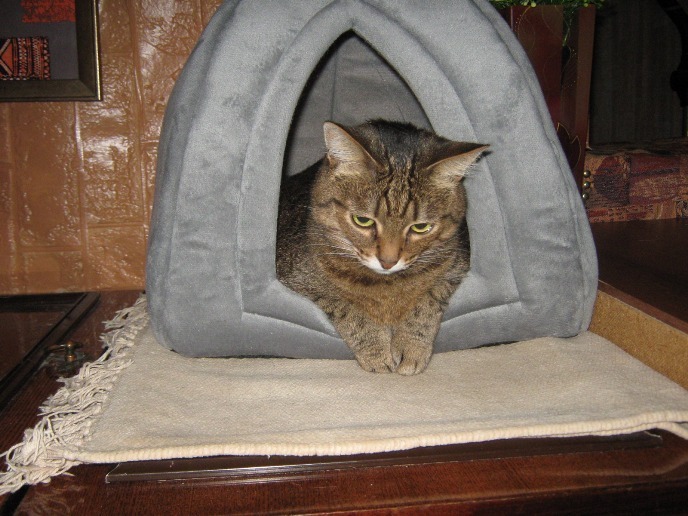 Лукерья, где ты будешь спать послезавтра?