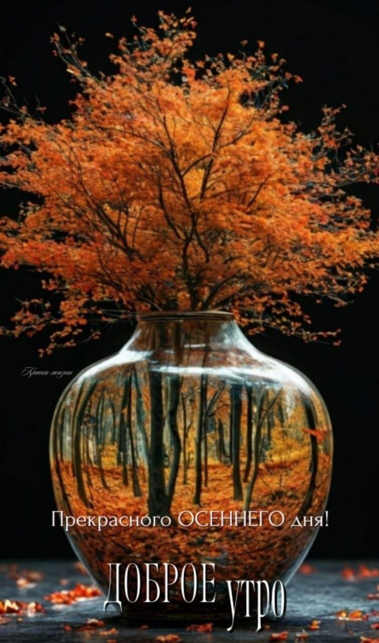 😃 Сегодня столько всего интересного происходит, что даже погода решила присоединиться к празднику!