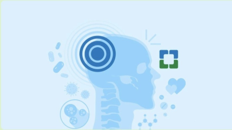 Для чего нужно потреблять жиры