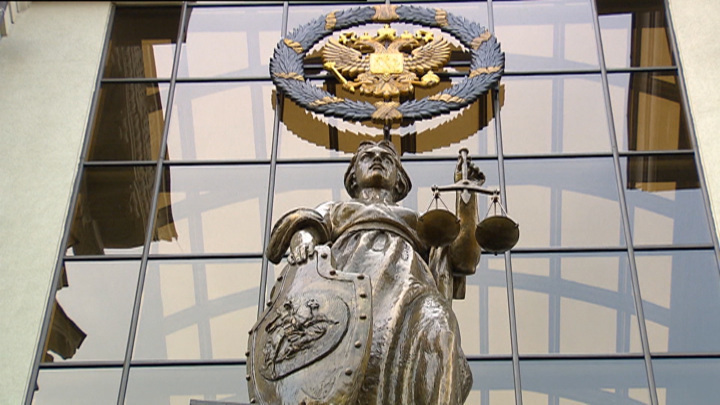 Дело Долиной. Верховный суд истребовал дело покупательницы квартиры Долиной.