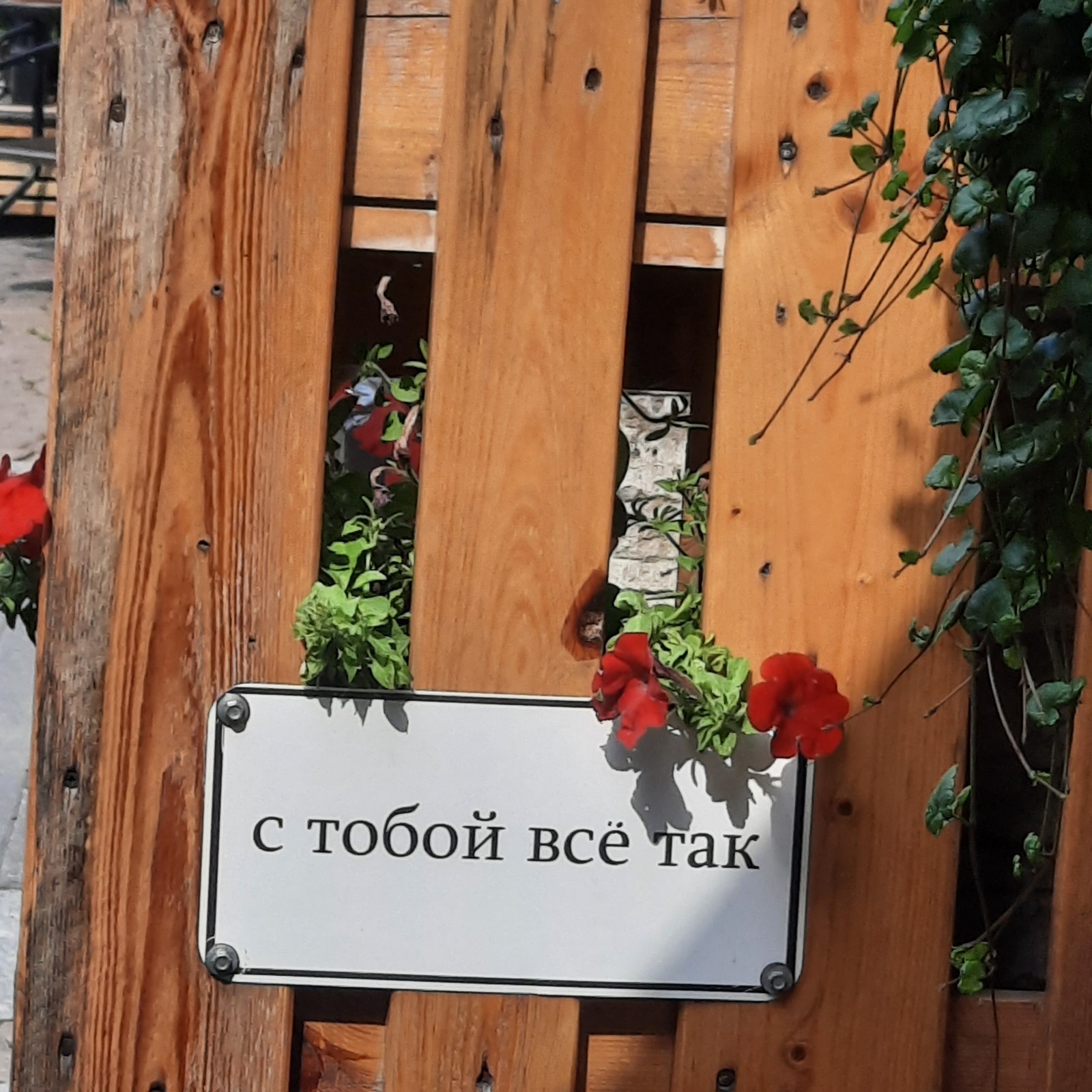 Самые просматриваемые отзывы Айрекоменда. Мой опыт.