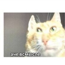 Юрист Хлебников Павел Михайлович, г. Смоленск