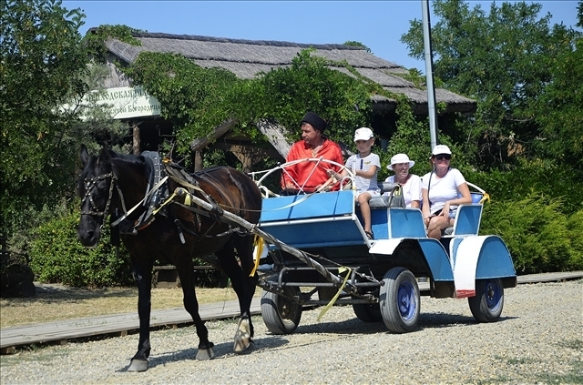 Интересная экскурсия. Выставочный комплекс "Атамань