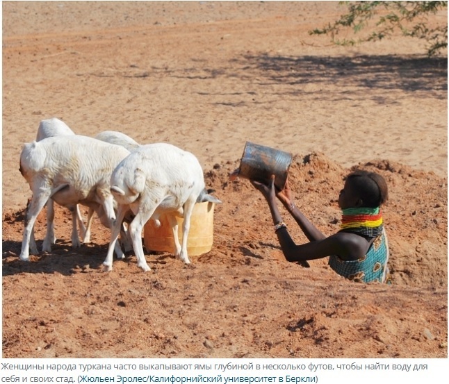 Эволюция человека продолжается, тому есть доказательства