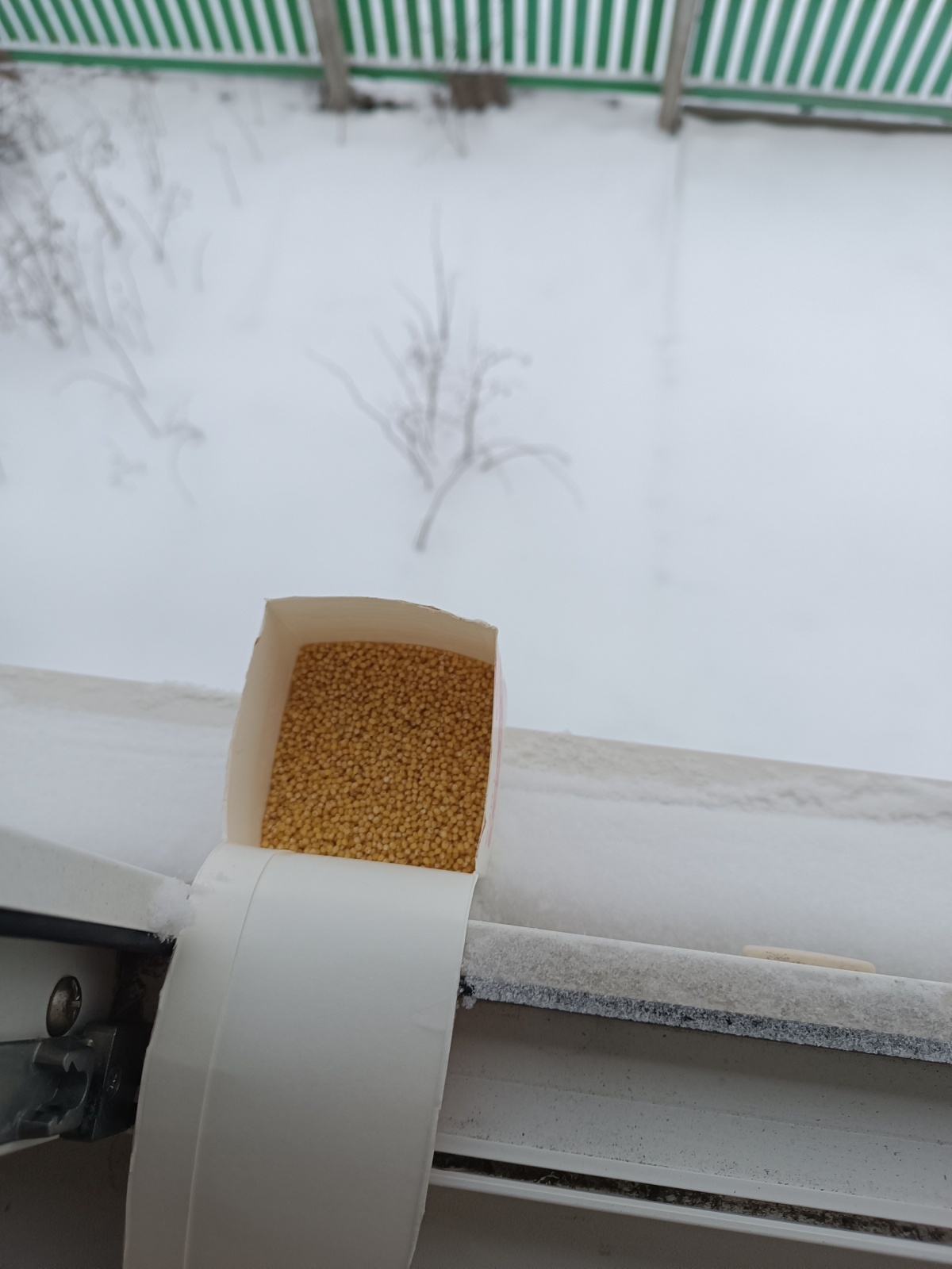 Птиц надо кормить