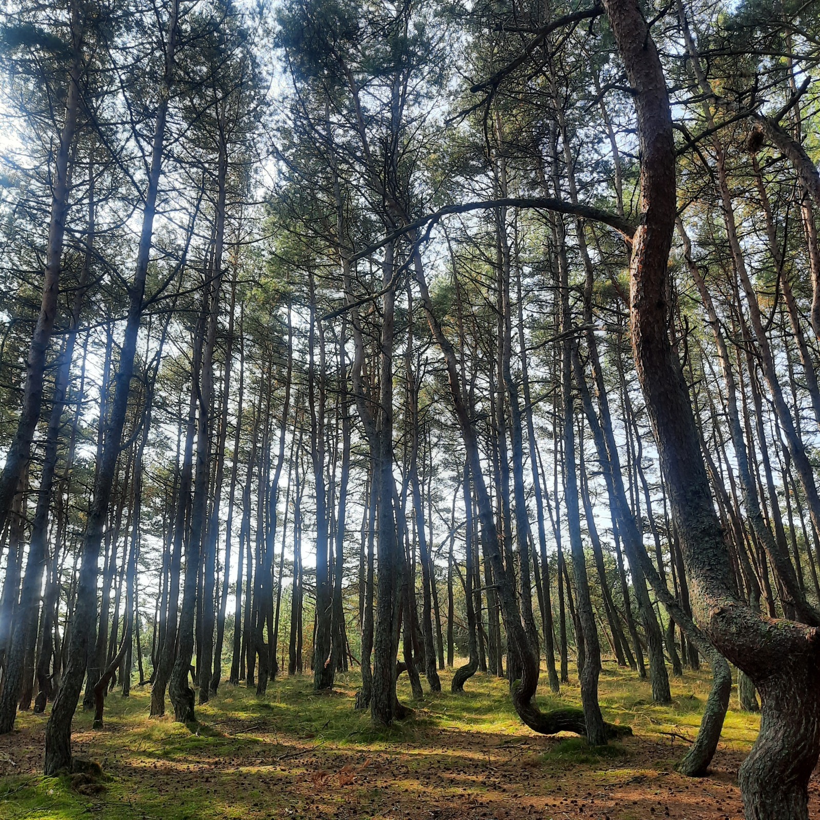 "Женщина, я подарок бабушке ищу. А у нее размер - как у вас". Или еще раз о мошенниках.