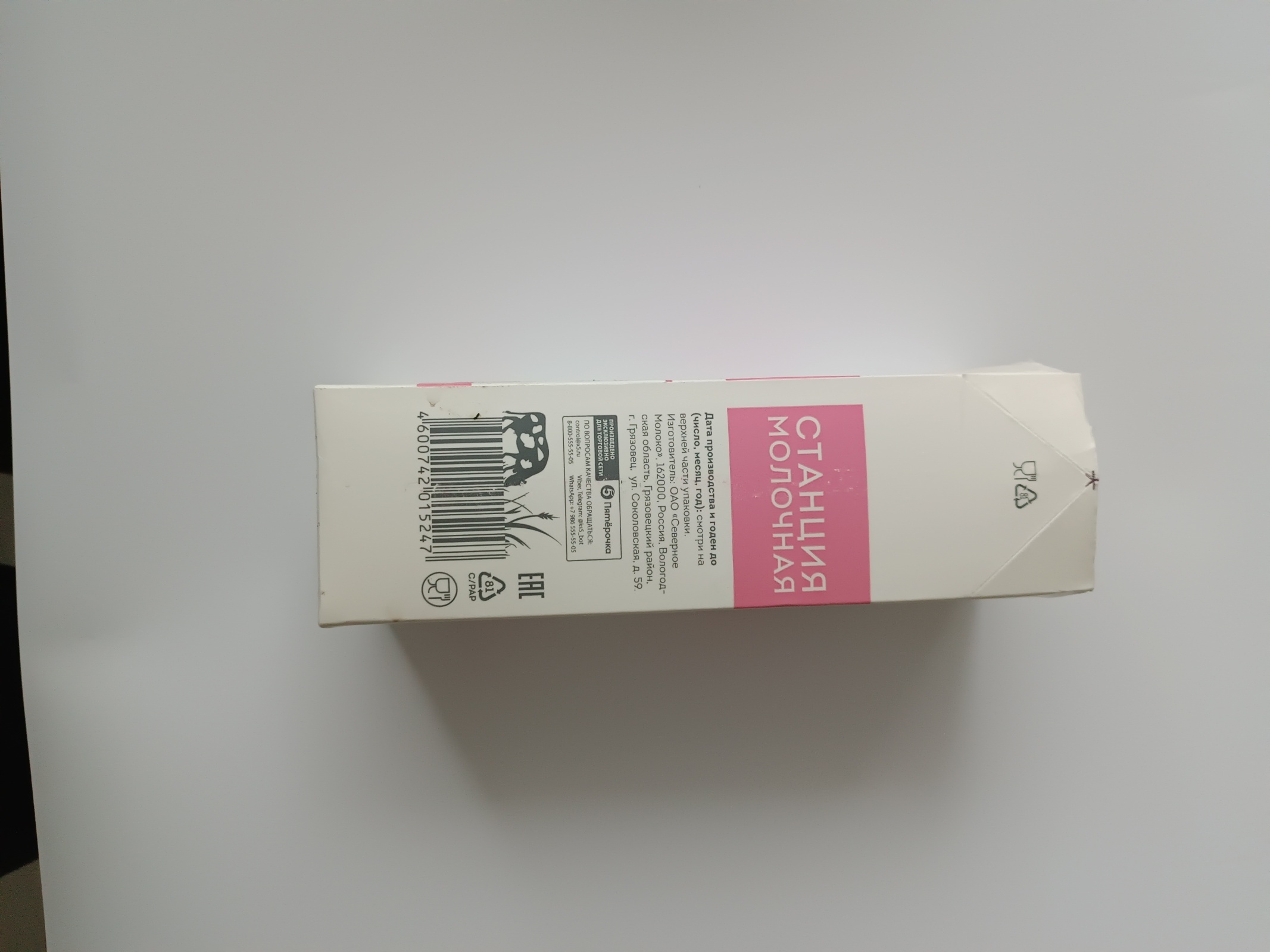 Птиц надо кормить