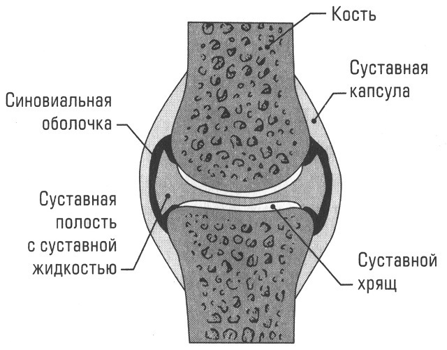 Возможные проблемы с суставами и как с ними бороться