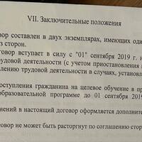 IMG_0213.jpeg