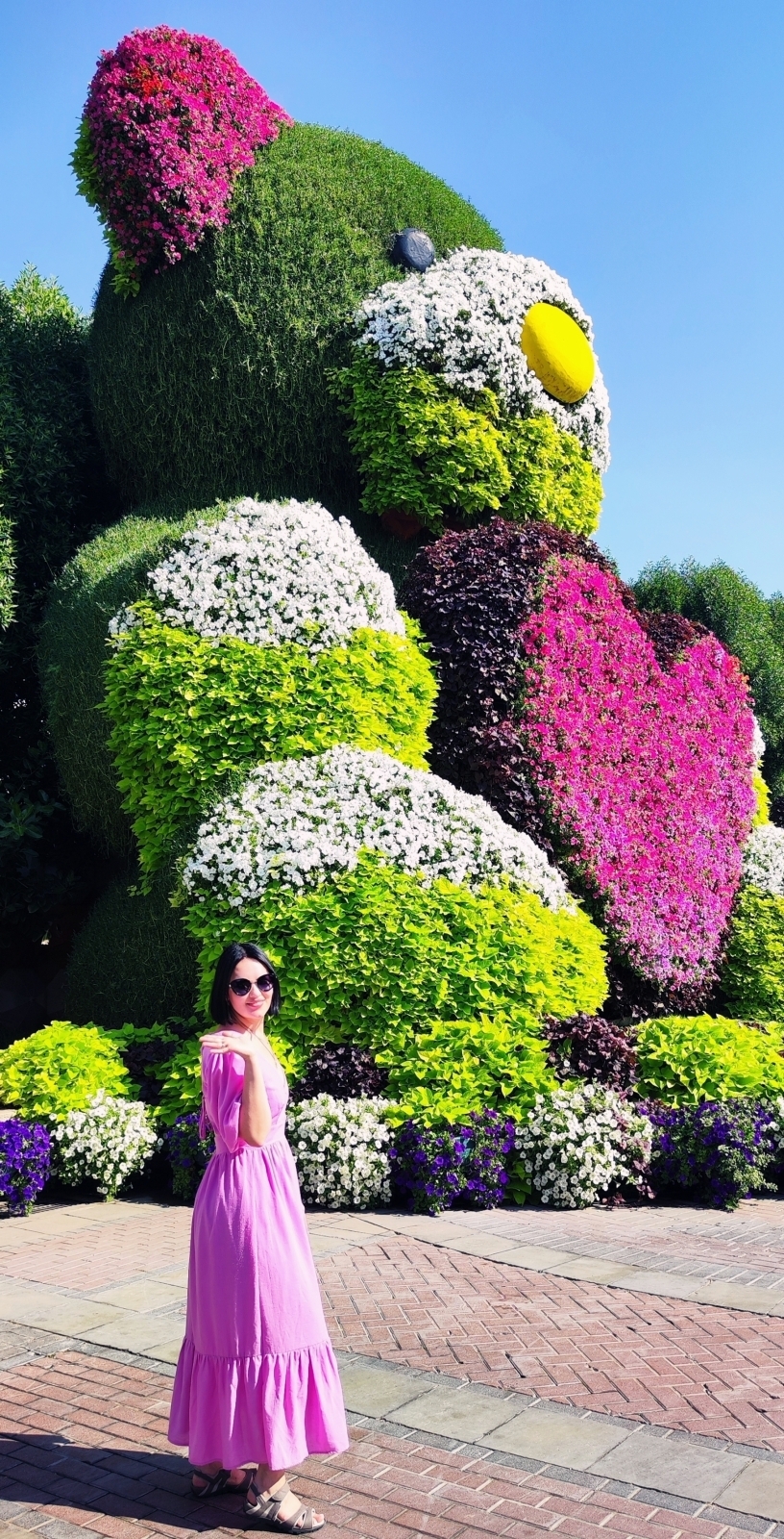 Мой отзыв о Dubai Miracle Garden, или «Сад Чудес» в Дубае