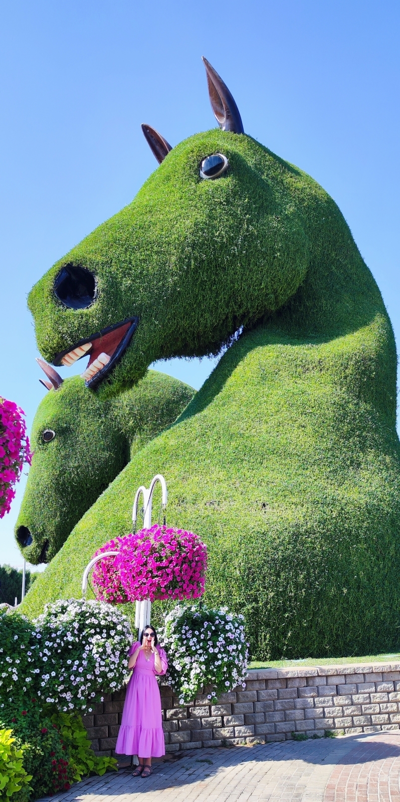 Мой отзыв о Dubai Miracle Garden, или «Сад Чудес» в Дубае
