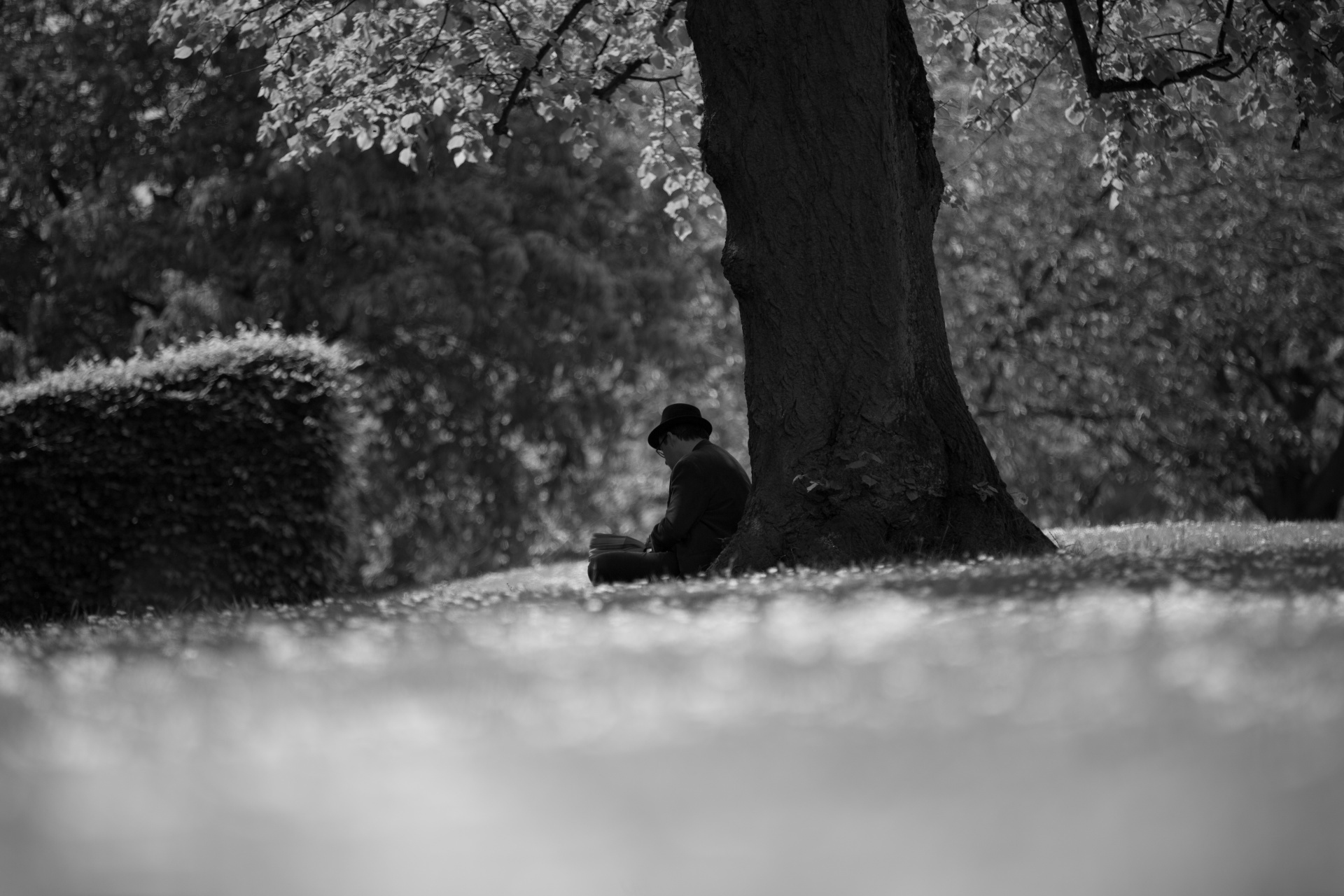 Каждый раз после раны мы становимся мудрее