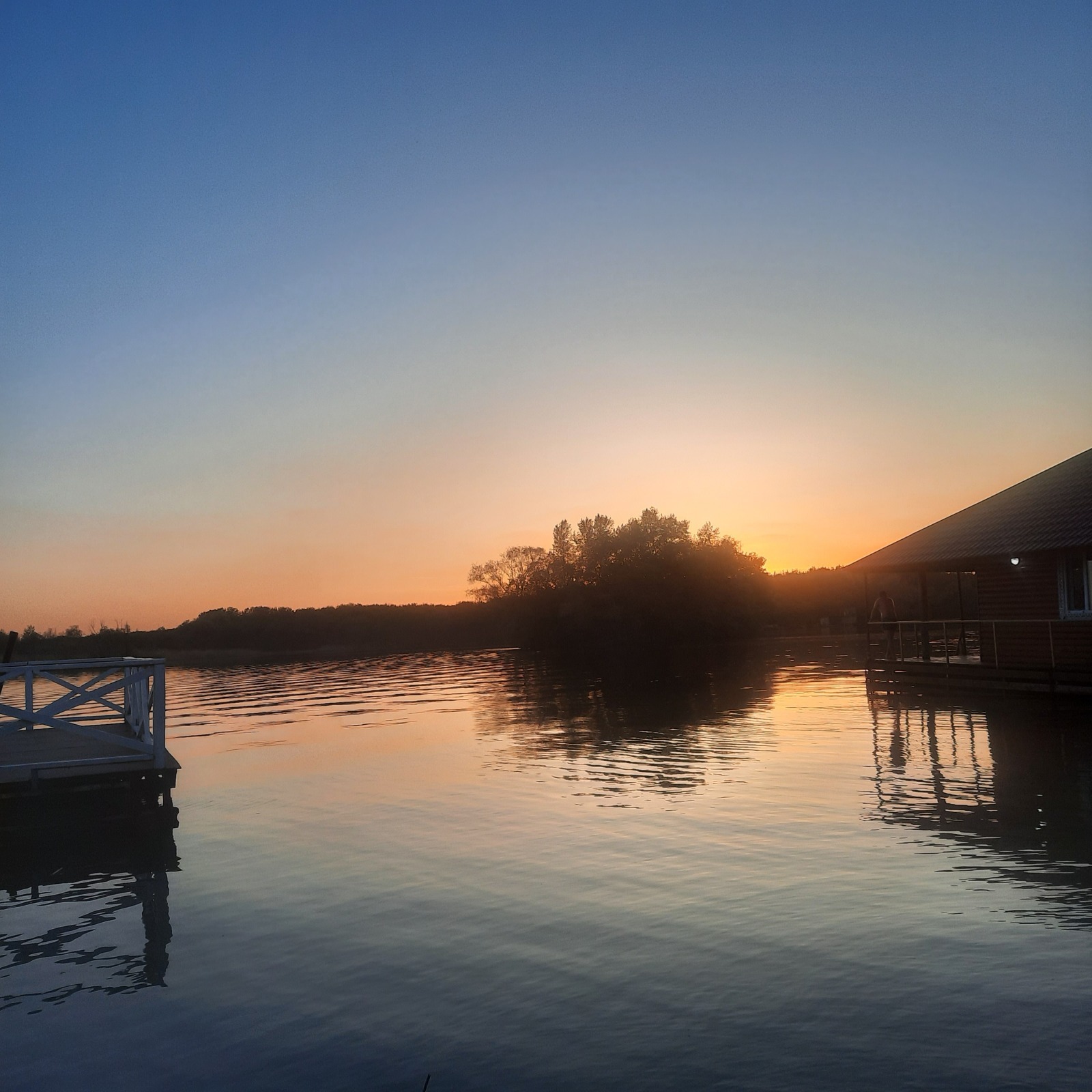 Траты и кешбек по Альфа карте за декабрь месяц