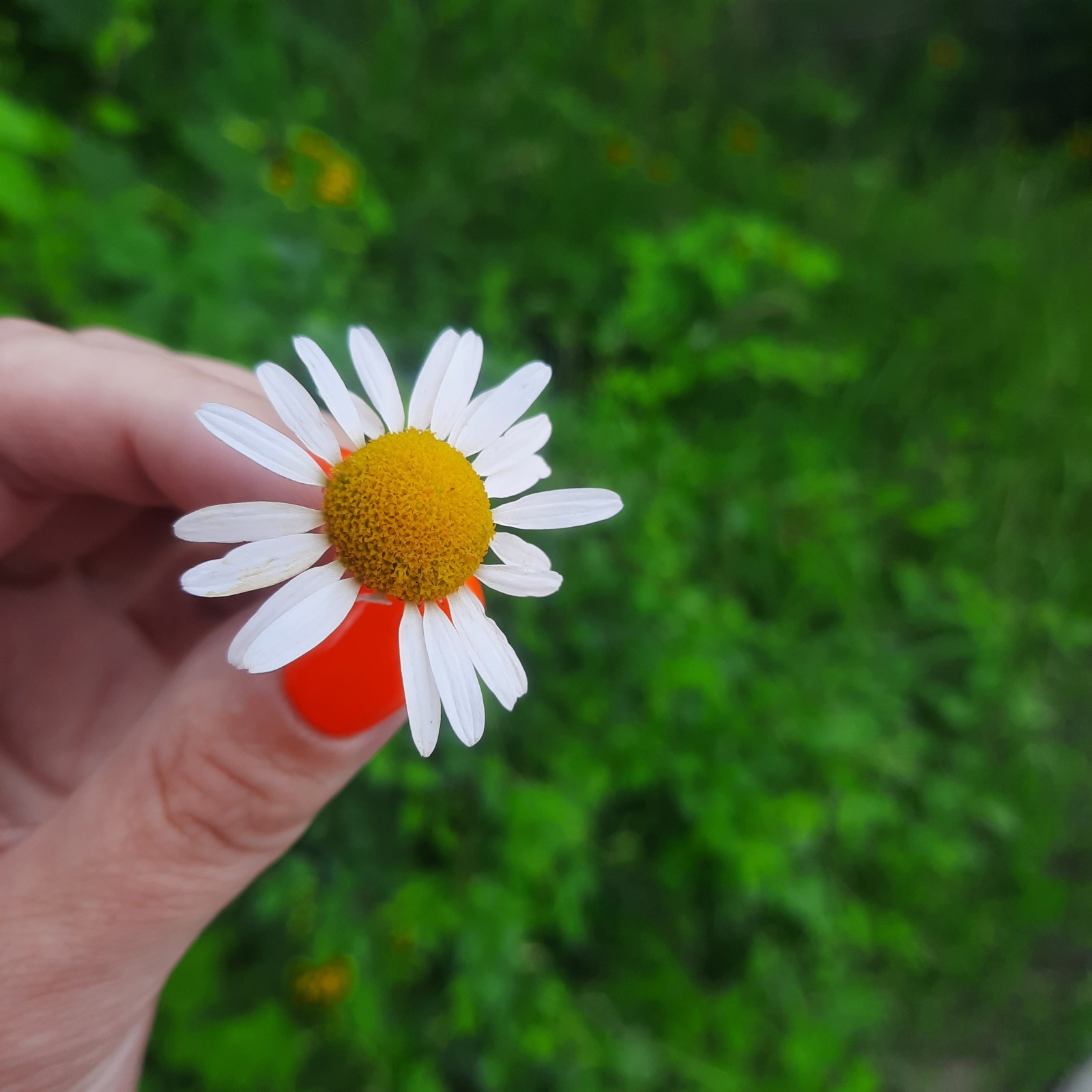 Звонок от "курьера". Или еще раз о мошенниках.