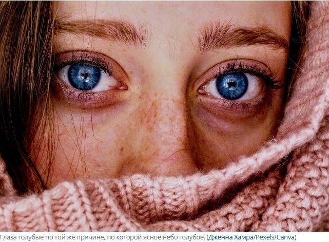 Почему голубые глаза на самом деле не голубые (и почему зелёные глаза — такая редкость)