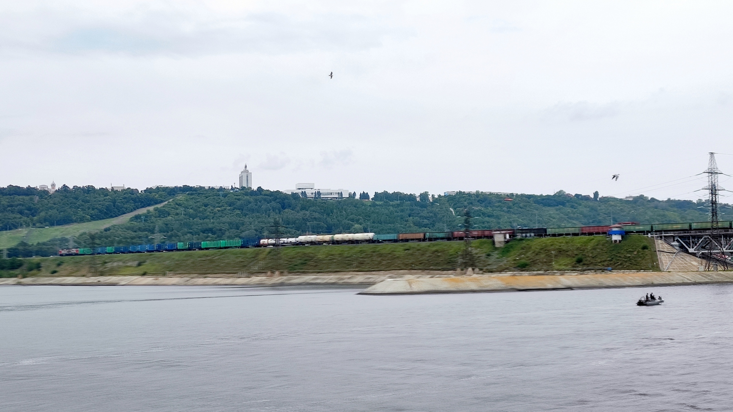 «Розыск героя нашего времени»: Жёсткий вопрос Путину на прямой линии. Автора из Ульяновска уже ищут