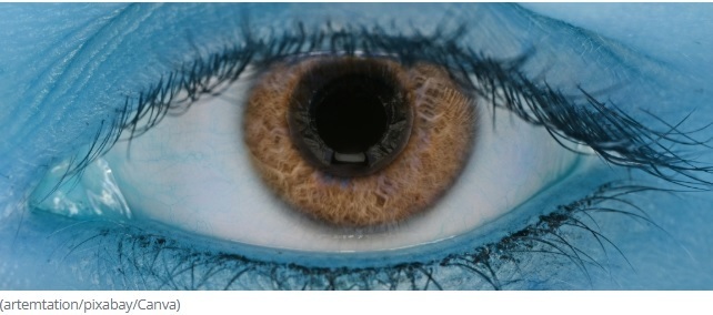 Почему голубые глаза на самом деле не голубые (и почему зелёные глаза — такая редкость)