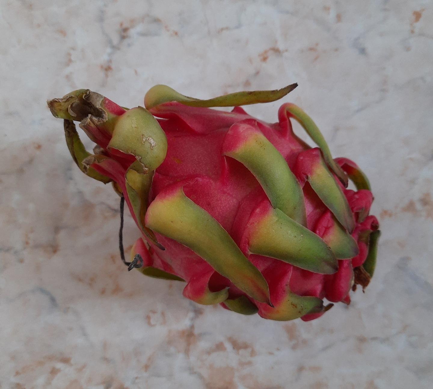 Морозный день в Москве