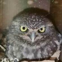 Юлия, г. Липецк