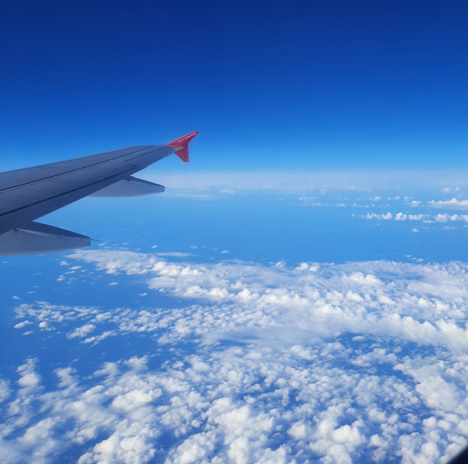 У свободной женщины должно быть 5 поклонников. Мнение "психологов".