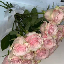 Елизавета, г. Ярославль