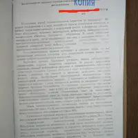 image (11).png