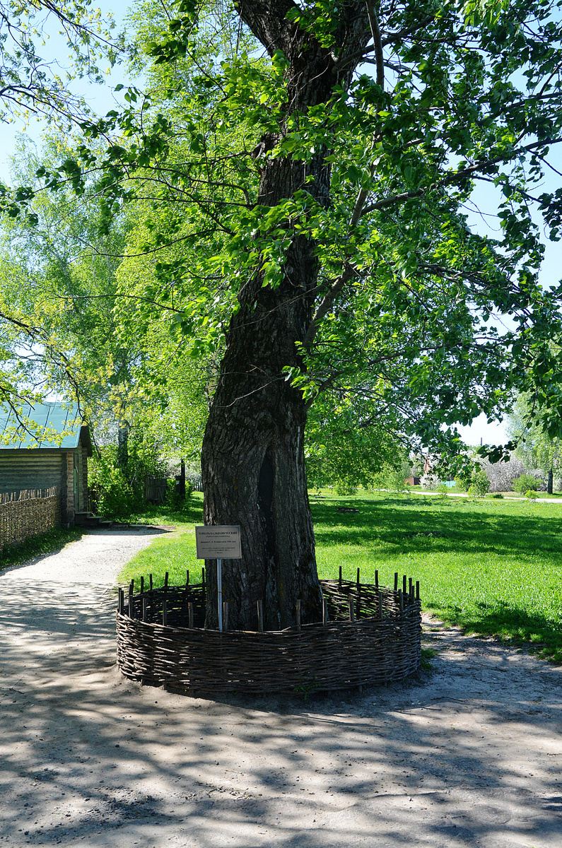 "Интересная экскурсия. Село Константиново - Есенинские места"
