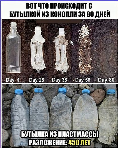 Просто зафиксируйте и сами сделайте выводы.