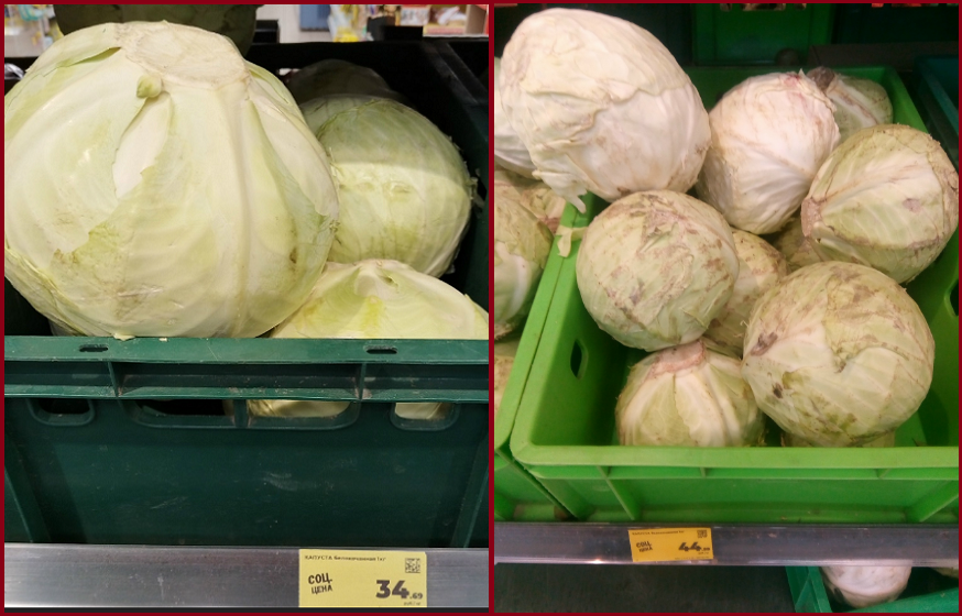 Инфляция «Магнита»: сравниваю цены на овощи/фрукты с разницей в год