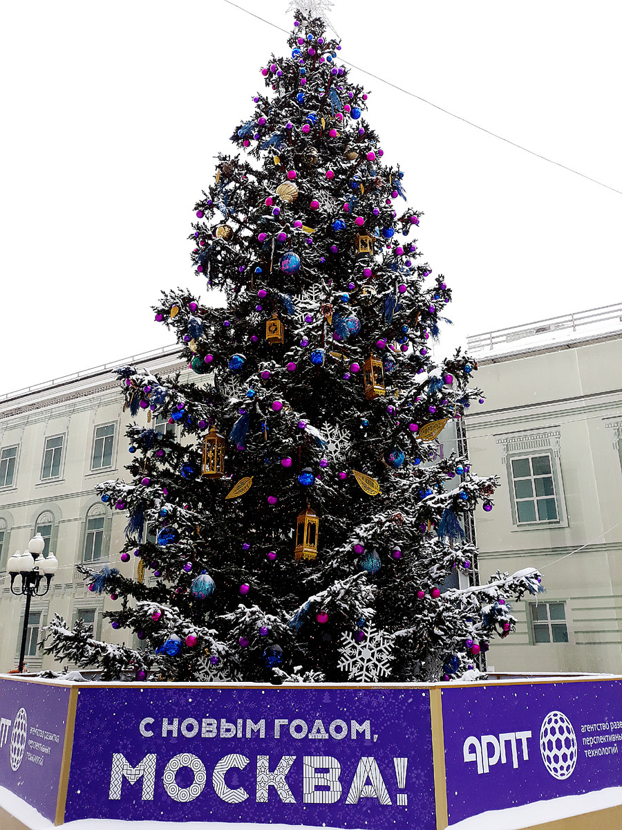 Интересная экскурсия. Новогодняя Москва (часть 1)