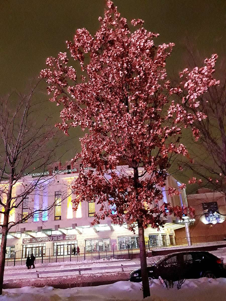 Интересная экскурсия. Новогодняя Москва (часть 1)