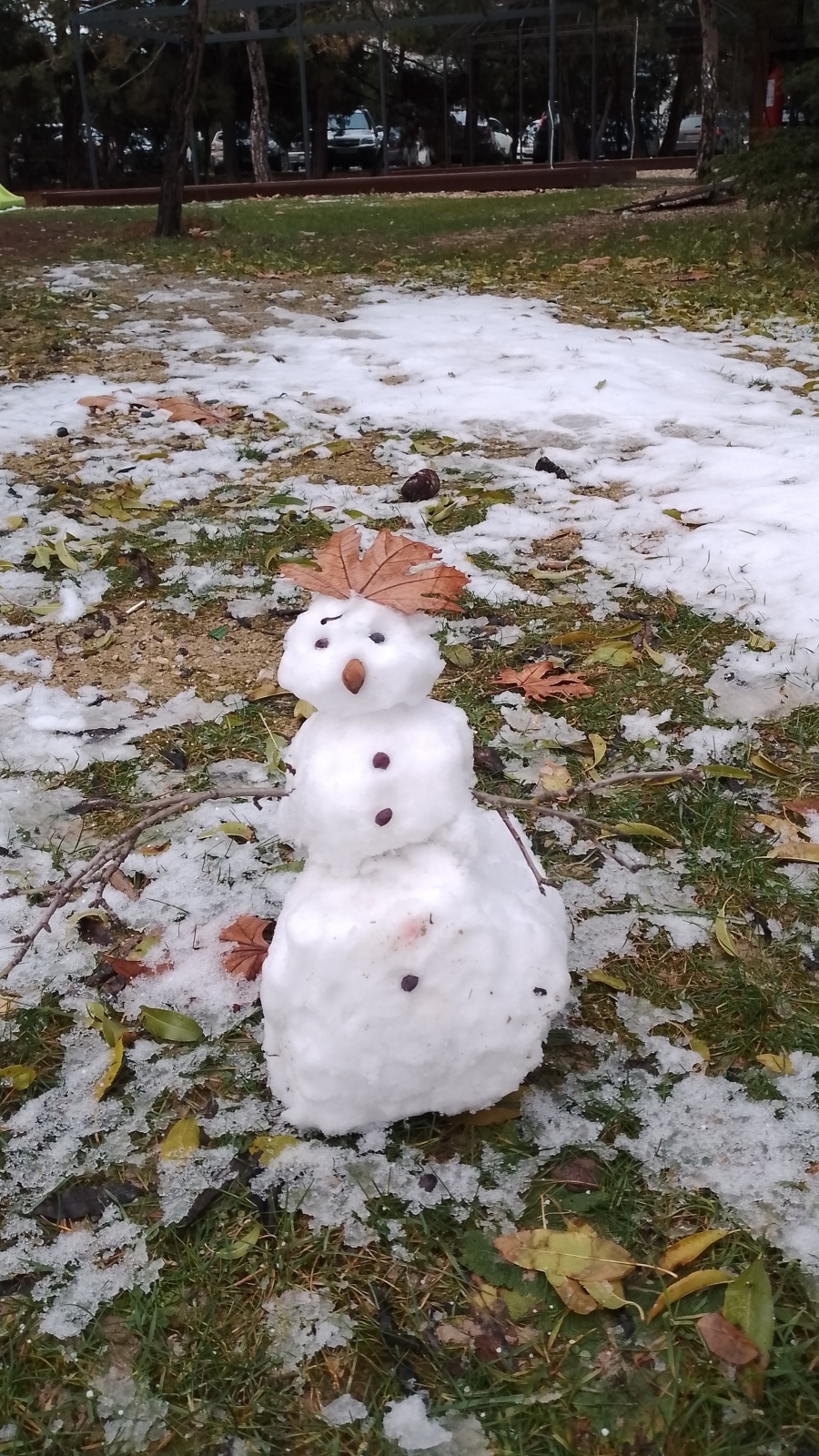 Зима на каникулы