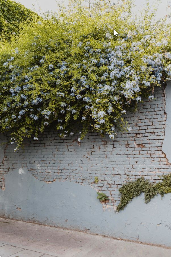 Новые штрафы-2026: что изменится в правилах для дачников и домовладельцев