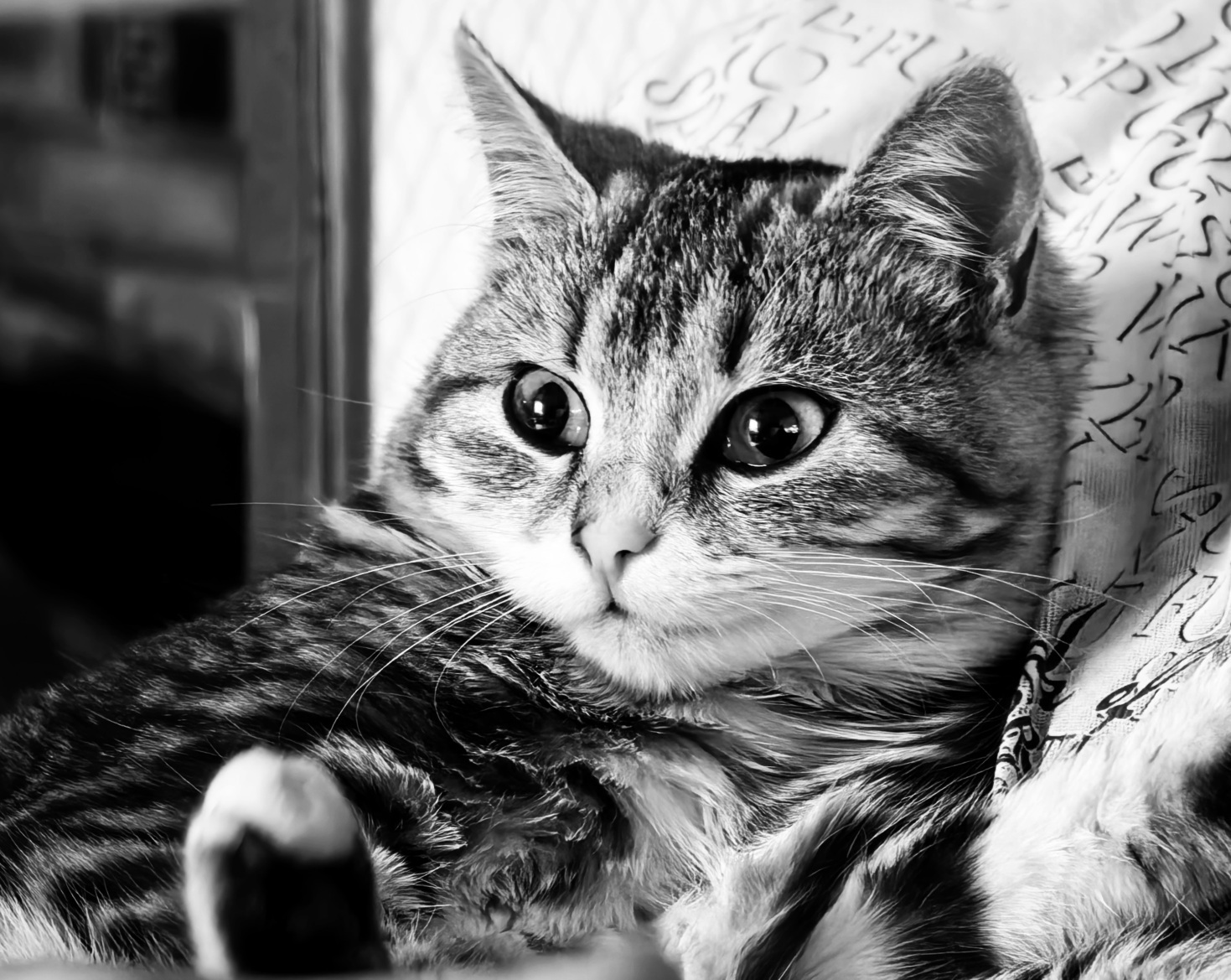 Кто и как регулирует отношения между Вами и ветеринарной клиникой, и можно ли получить бесплатную помощь для домашнего животного?