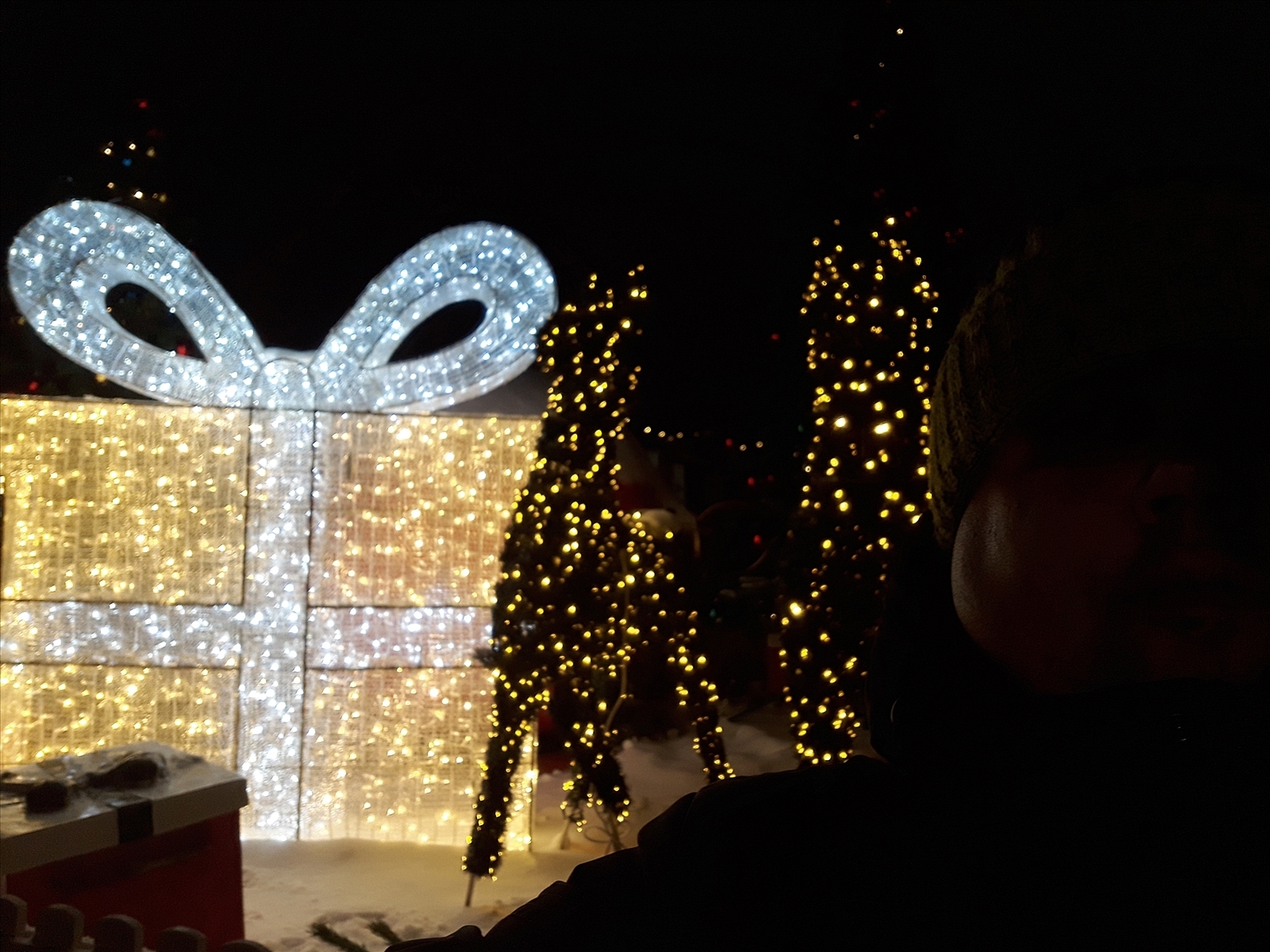 "Интересная экскурсия. Новогодняя Казань"