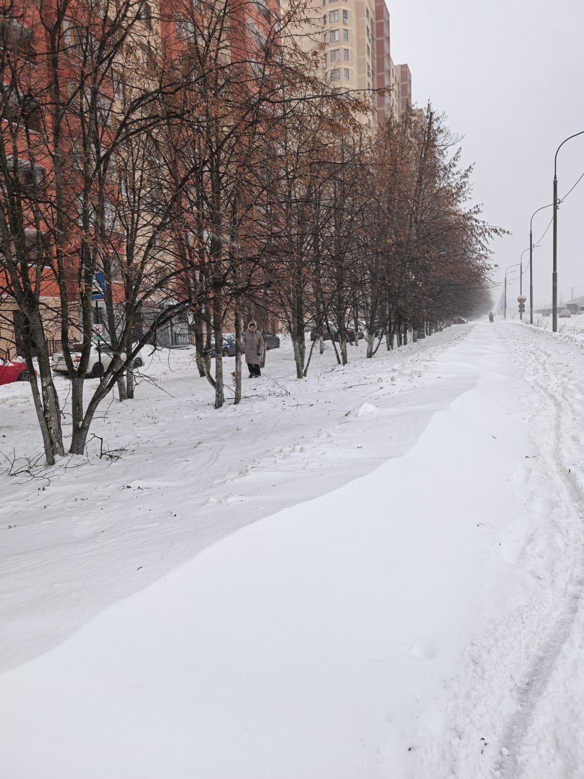 Снежный шторм накрывает Россию: как выжить в объятиях «Фрэнсис»? Кто должен осуществлять уборку снега и что делать, если получили травму на льду?