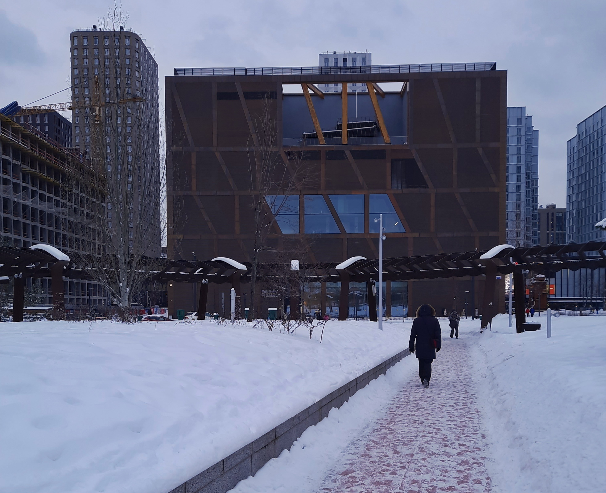 Поход в музей в каникулярный день в заснеженной Москве