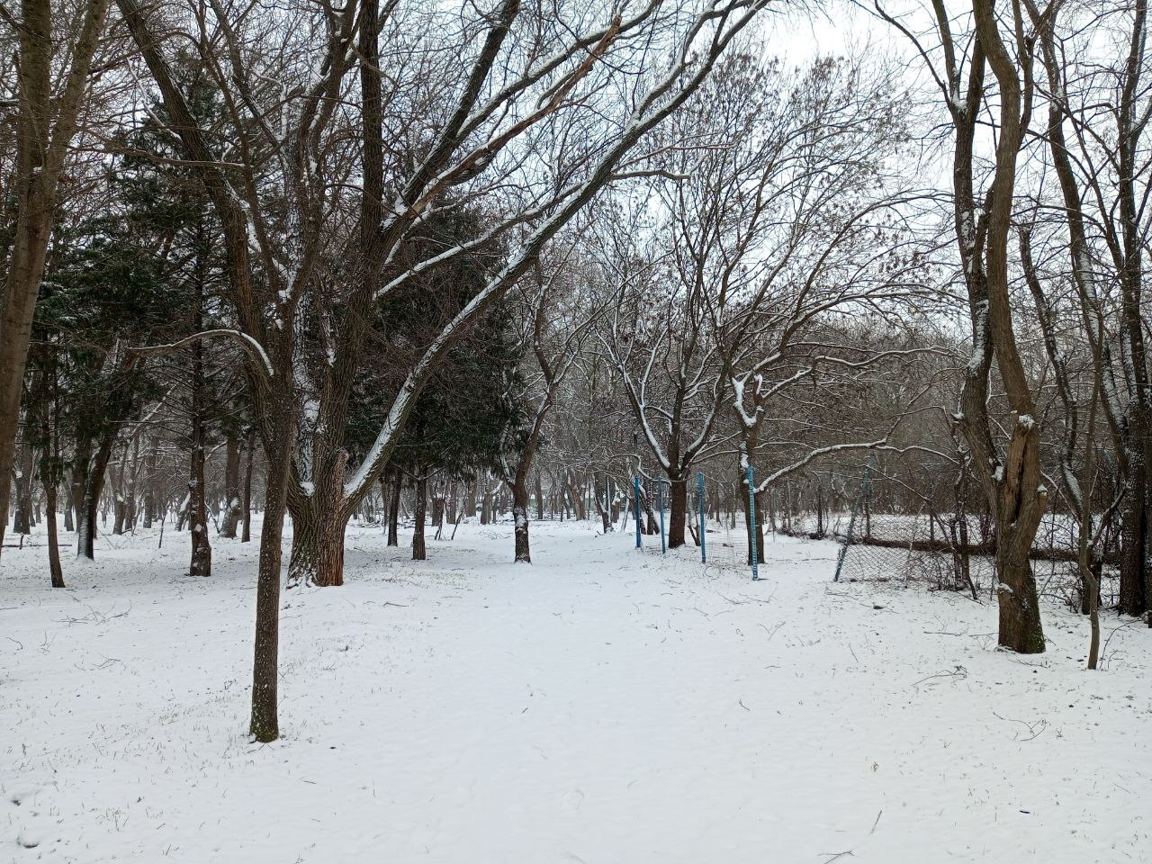 Снег в Крыму — не погода, а приглашение