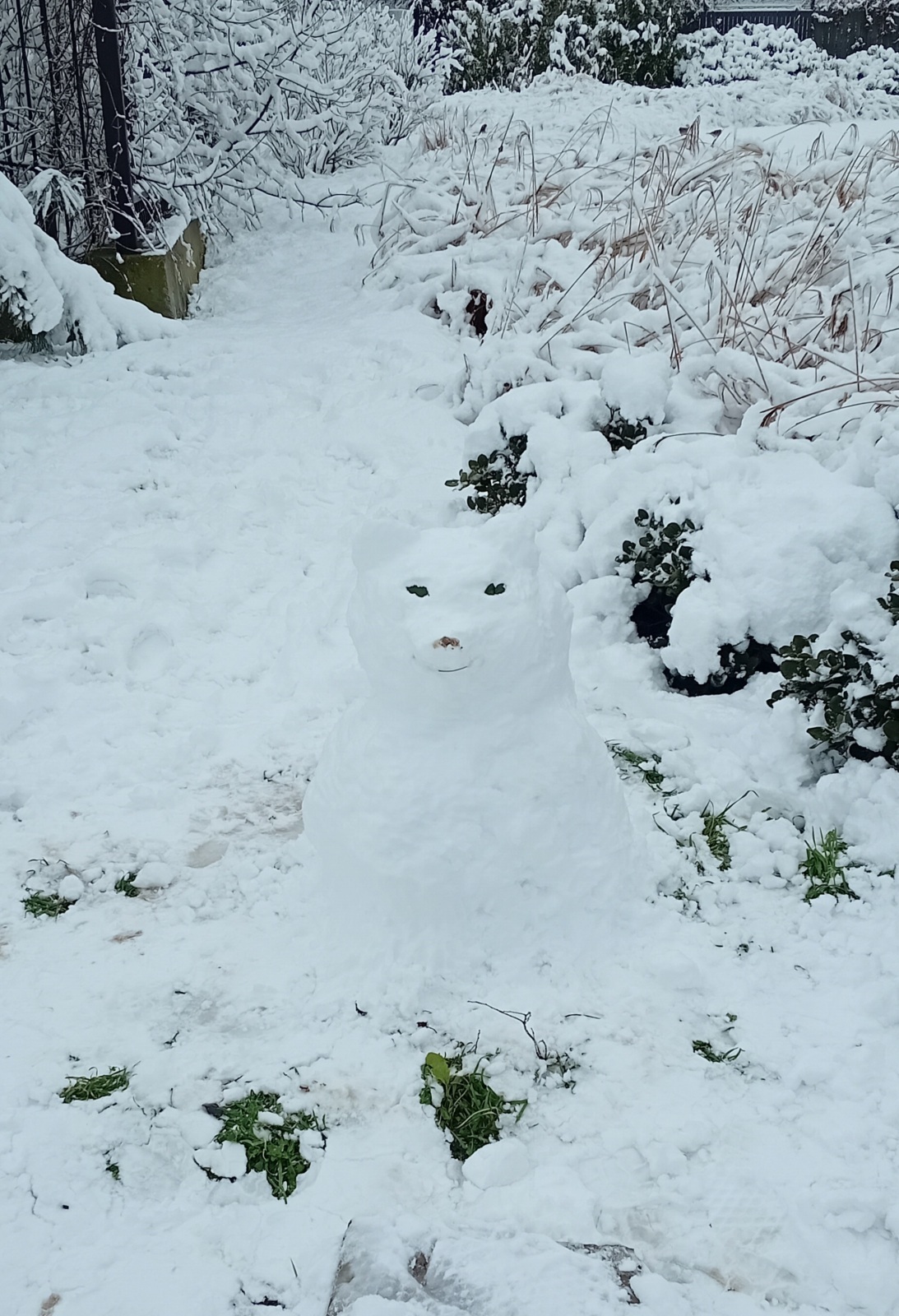 Внимание как высшая форма власти над реальностью