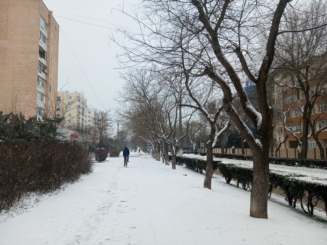 Снег в Крыму — не погода, а приглашение