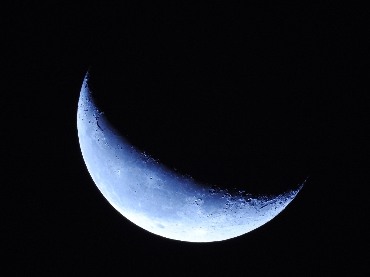 Новая версия исчезновения Усольцевых поражает воображение: глава семьи мог совершить страшный поступок