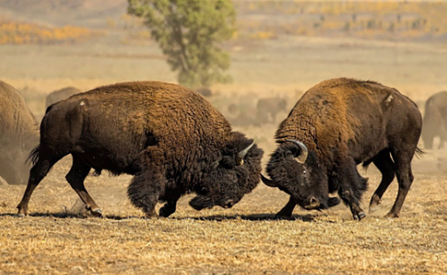 Услужливые Госуслуги — впервые выражаю маленькую благодарность...