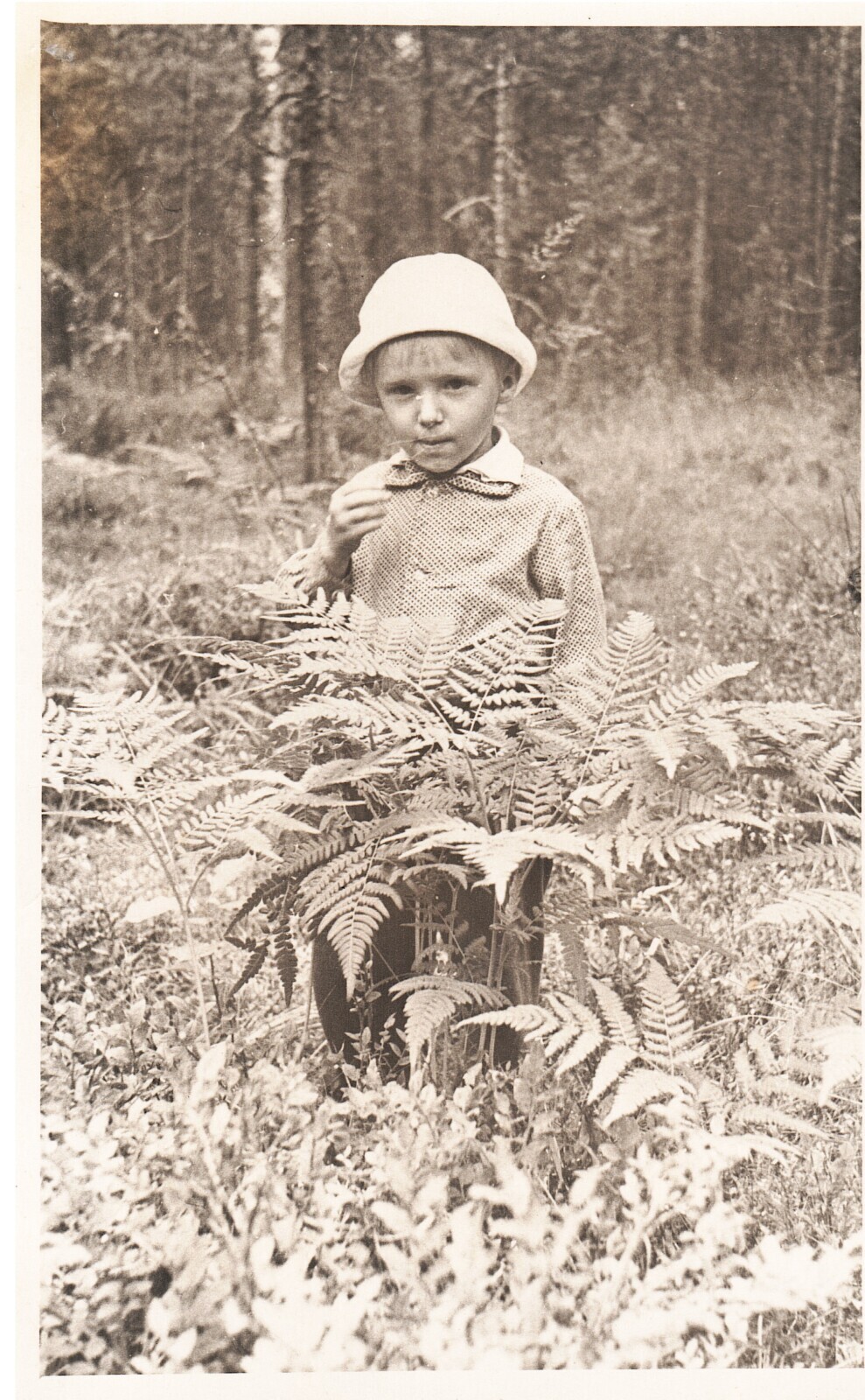 О тюльпанах, цветах, СССР, России, демографии и всём остальном. / Часть 1. «Меняю шубку на розы».