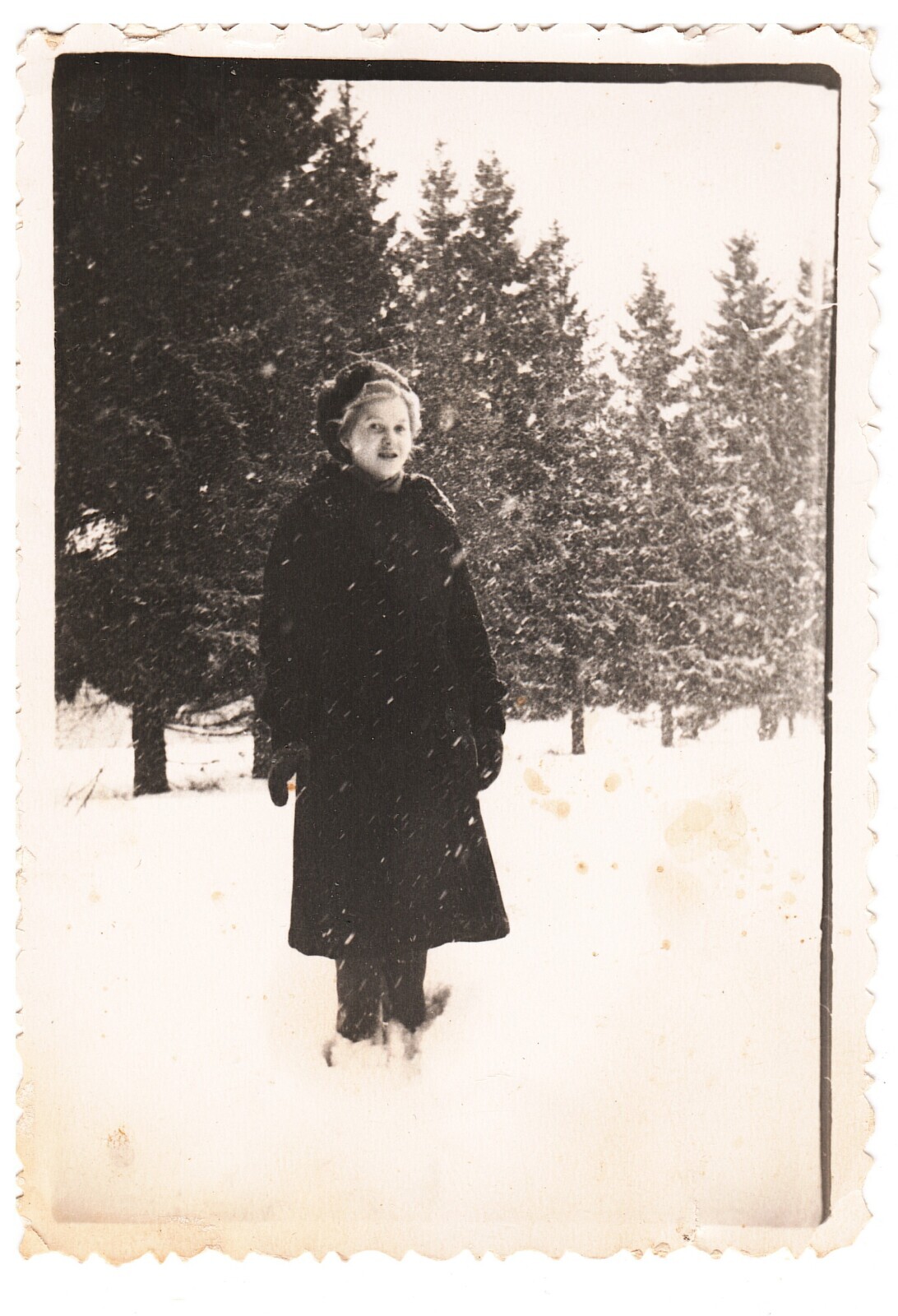 О тюльпанах, цветах, СССР, России, демографии и всём остальном. / Часть 1. «Меняю шубку на розы».