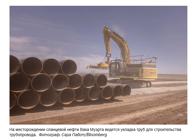 Компания Milei отвергла предложение аргентинского миллиардера, а индийская фирма выиграла тендер на строительство трубопровода.