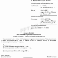 obrazec-xodataystvo-2024-11-width961.jpg