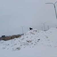 IMG_20260201_124233.jpg