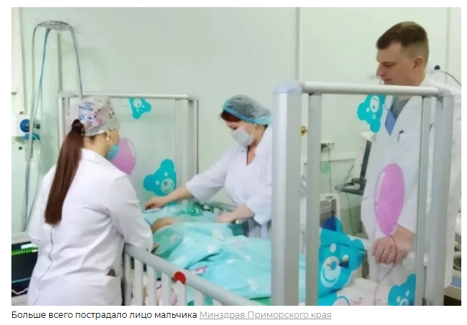 Домашний пес изуродовал 1,5-годовалого малыша, протянувшего ручку к миске с кормом