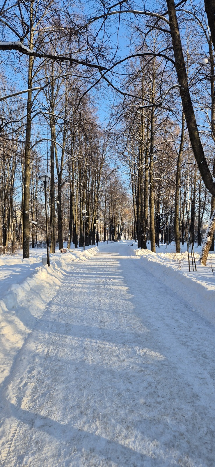 Петрозаводск: прогулка одного дня