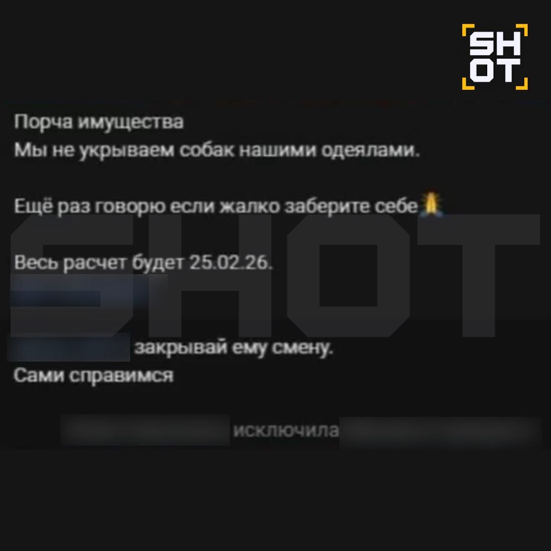 Пользователи начали бойкотировать «Додо Пиццу» после увольнения курьера, накрывшего пледом бродячего пса
